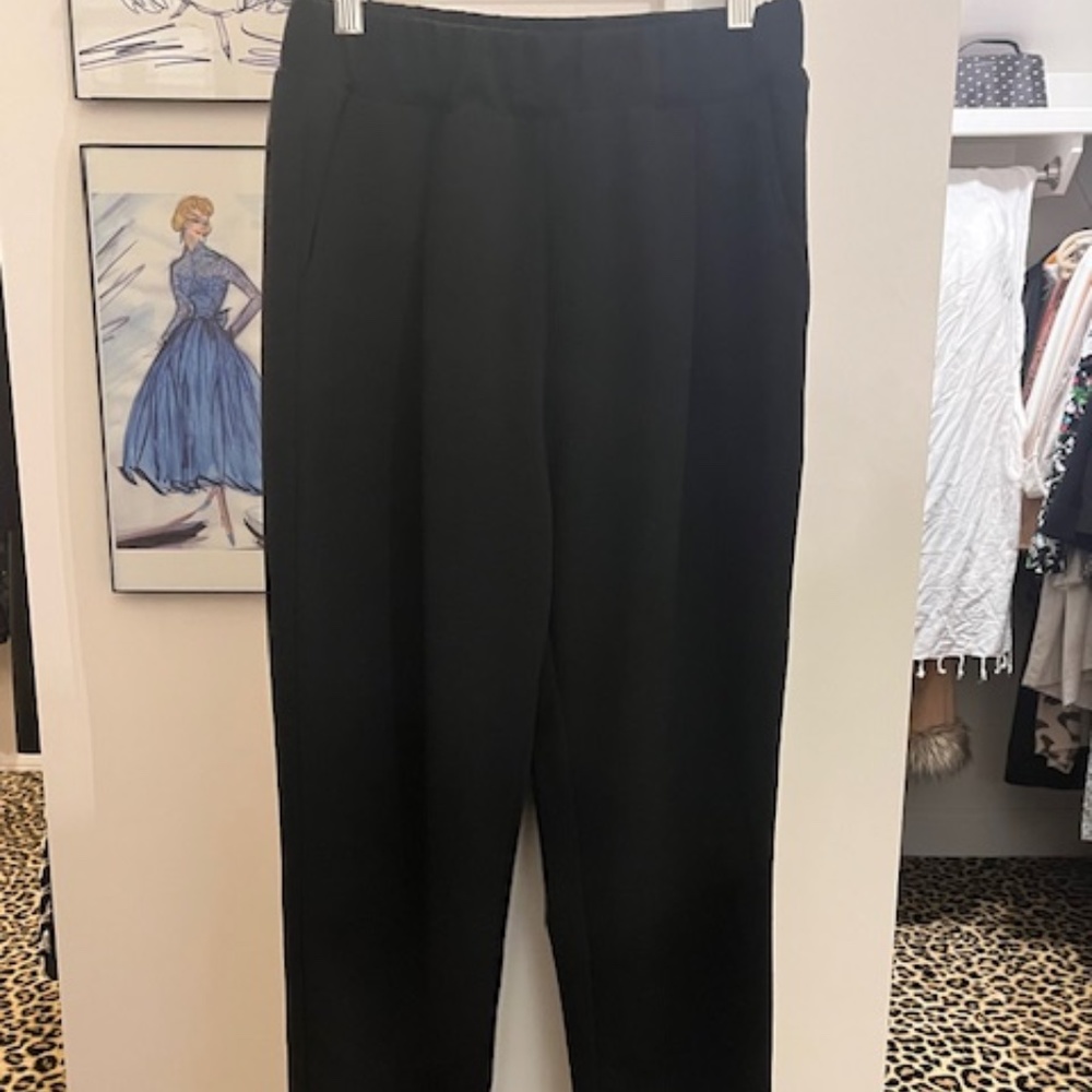 Black pleated dress pants with pockets and elastic waste band (L). NWOT